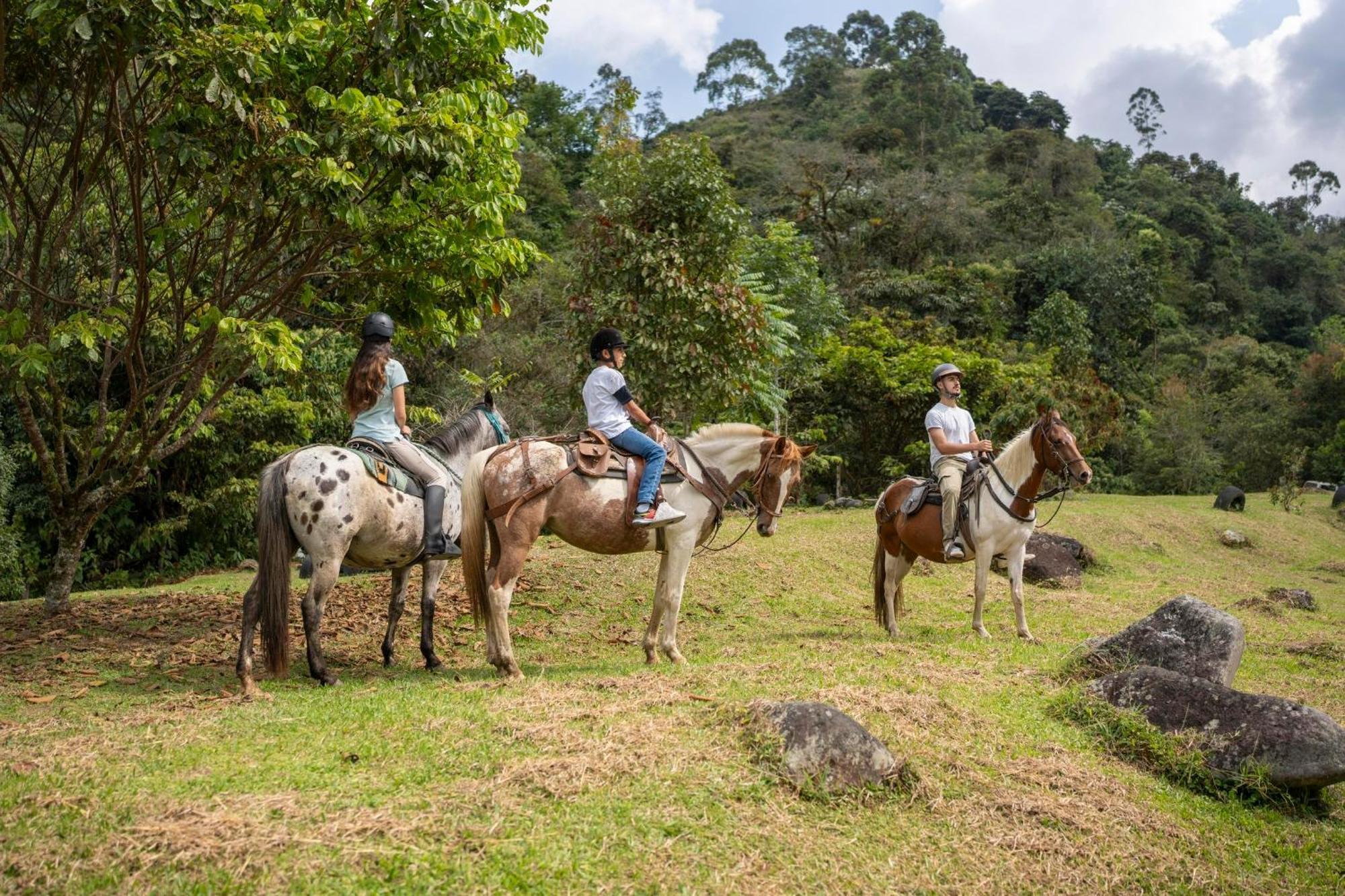 La Herradura Lodge Santa Rosa de Cabal Eksteriør billede