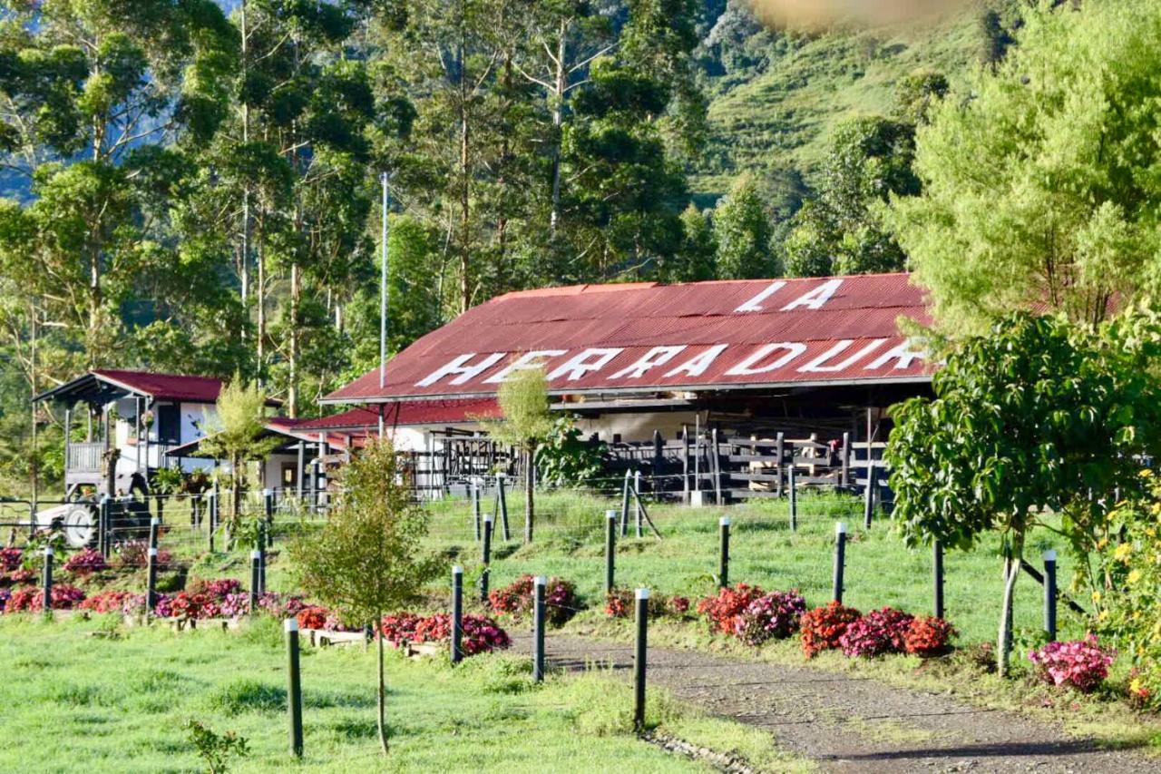 La Herradura Lodge Santa Rosa de Cabal Eksteriør billede